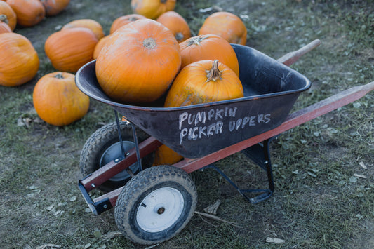 Spooky Fun: Halloween Events in and Around Windsor and Berkshire - October 2025