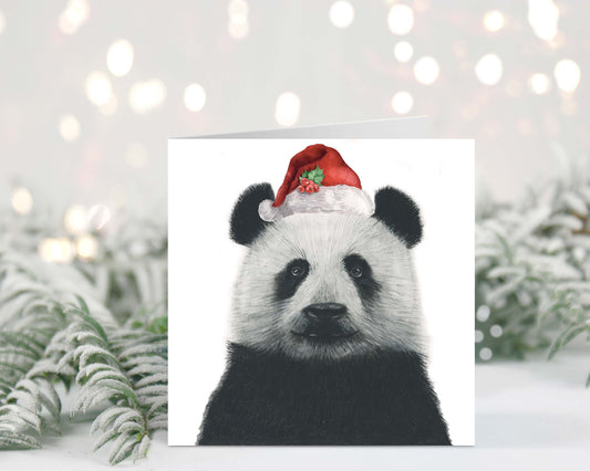 Cepheus the Panda Santa Hat Festive Christmas Card