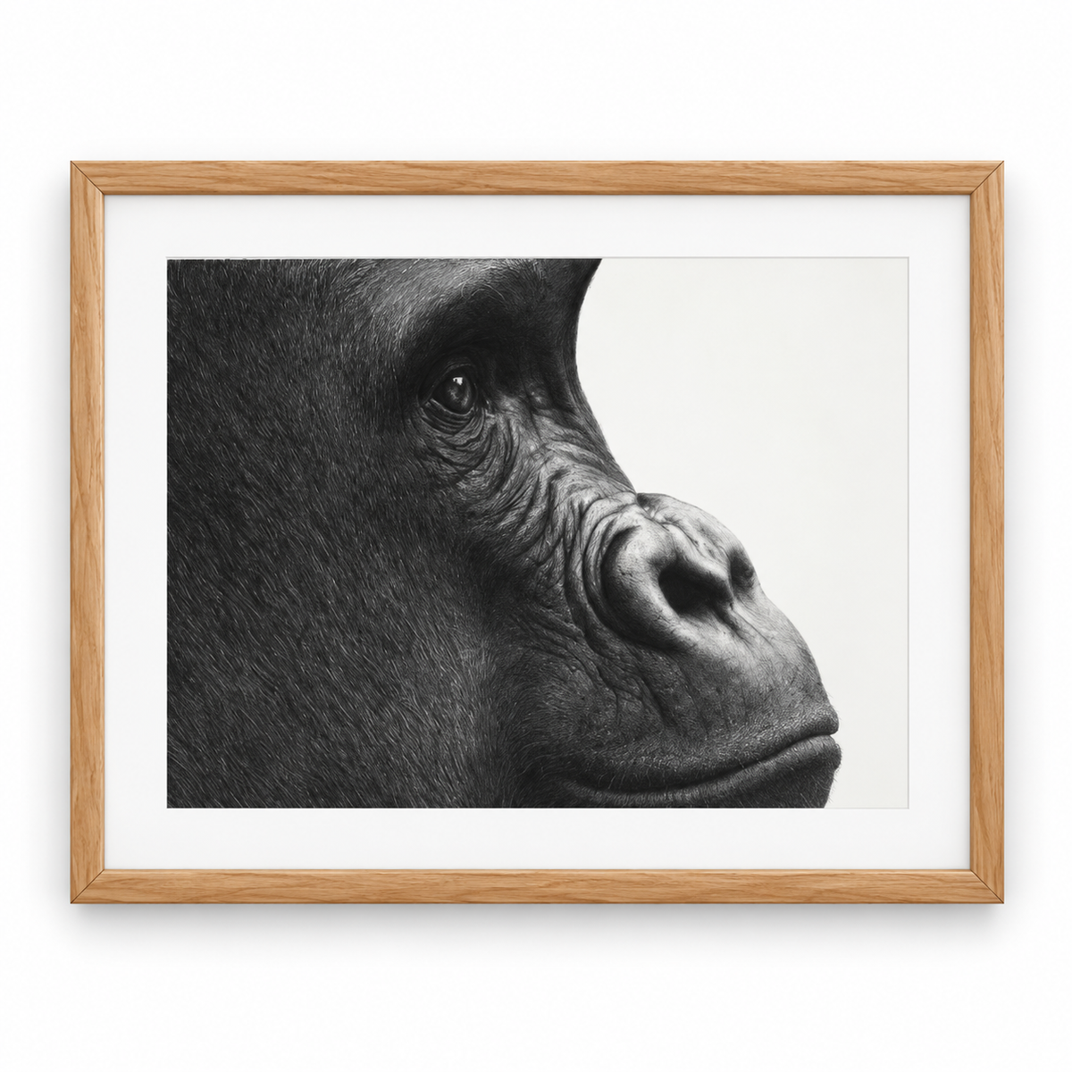 Gorilla Fine Art Print – Hand-Drawn Wildlife Drawing – oak frame with white mount