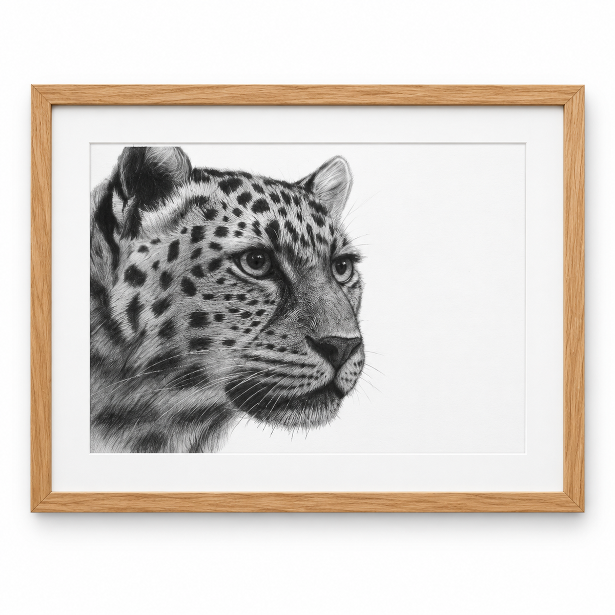 Leopard Fine Art Print – Hand-Drawn Wildlife Illustration – oak frame with white mount