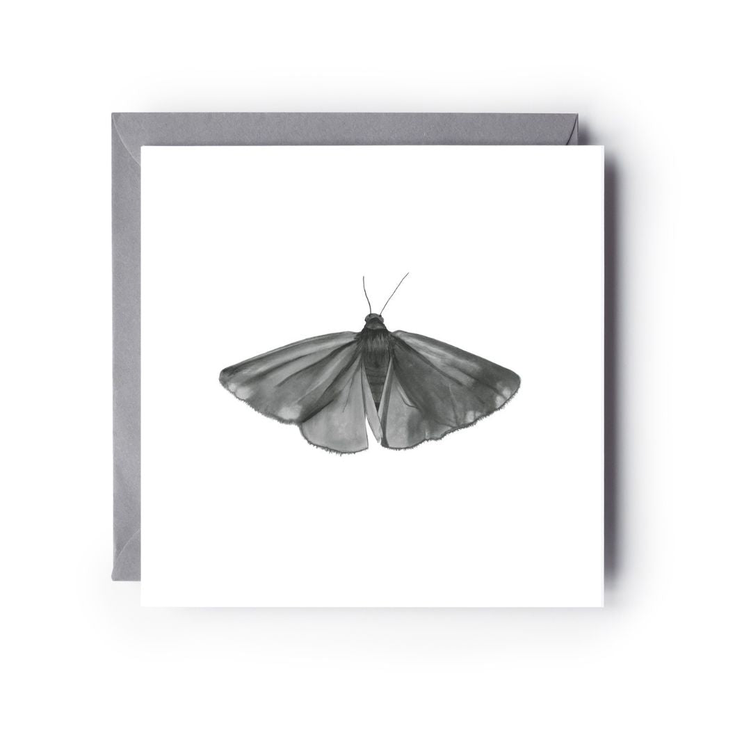 Cinnabar Moth Greeting CardA beautifully hand-illustrated greeting card featuring the vibrant Cinnabar Moth, perfect for sending messages to nature enthusiasts and art lovers. Available at Nature Picture Library.