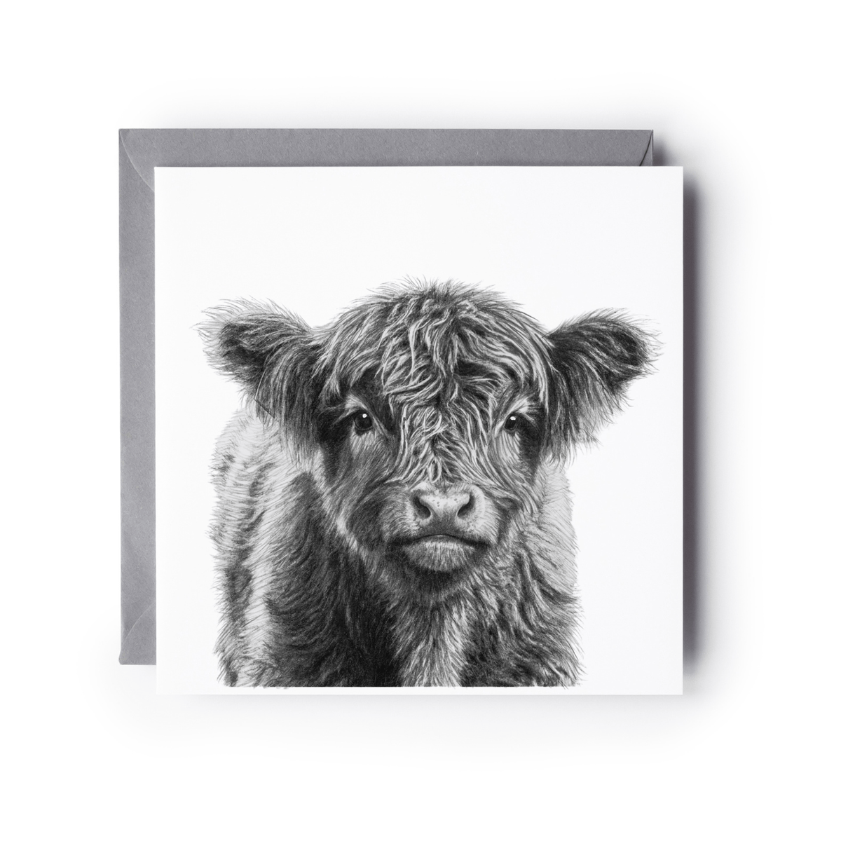 Junior the Highland Coo Greeting Card | Highland Cow