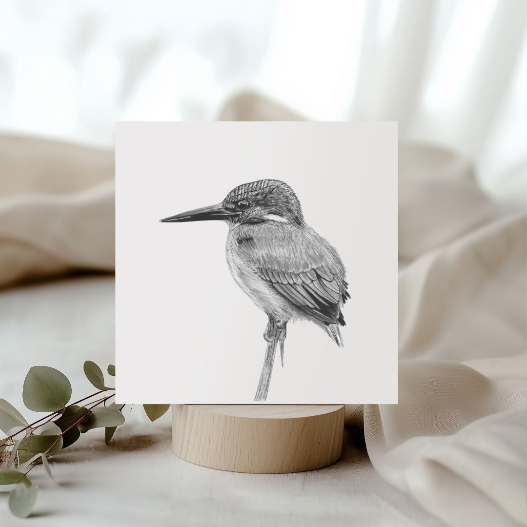 Hand-drawn Delpheus the Kingfisher greeting card, featuring exquisite wildlife ar