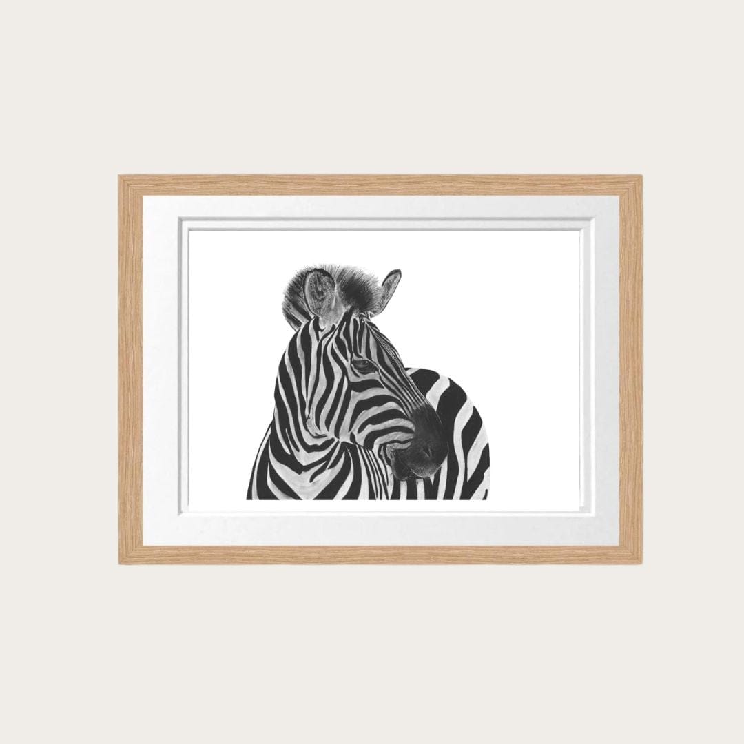 Detailed Capella the Zebra illustration on fine art print, perfect for animal art enthusiasts