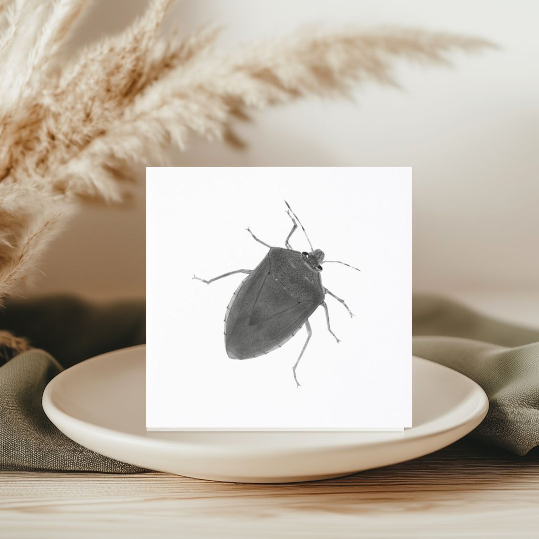 A meticulously hand-illustrated greeting card featuring the Green Shield Bug (Palomena prasina), perfect for sending thoughtful messages to nature enthusiasts and insect admirers. Available at Libra Fine Arts
