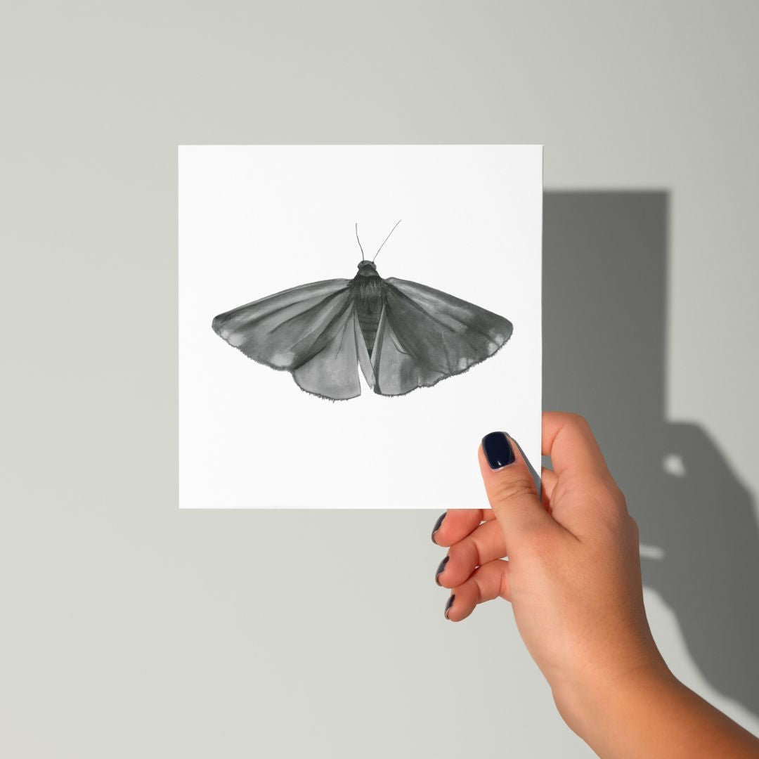 An exquisite greeting card showcasing a detailed illustration of the Cinnabar Moth, making it a thoughtful choice for wildlife enthusiasts. Find it at Libra Fine Arts.