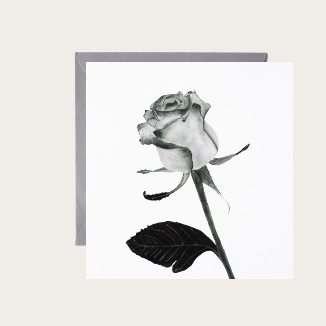 An exquisite greeting card showcasing a detailed illustration of an English rose, making it an ideal choice for birthdays, anniversaries, or thank-you notes. Crafted from premium, sustainable materials, it comes with a coordinating envelope and offers a blank interior for your heartfelt notes. Find it at Libra Fine Arts.