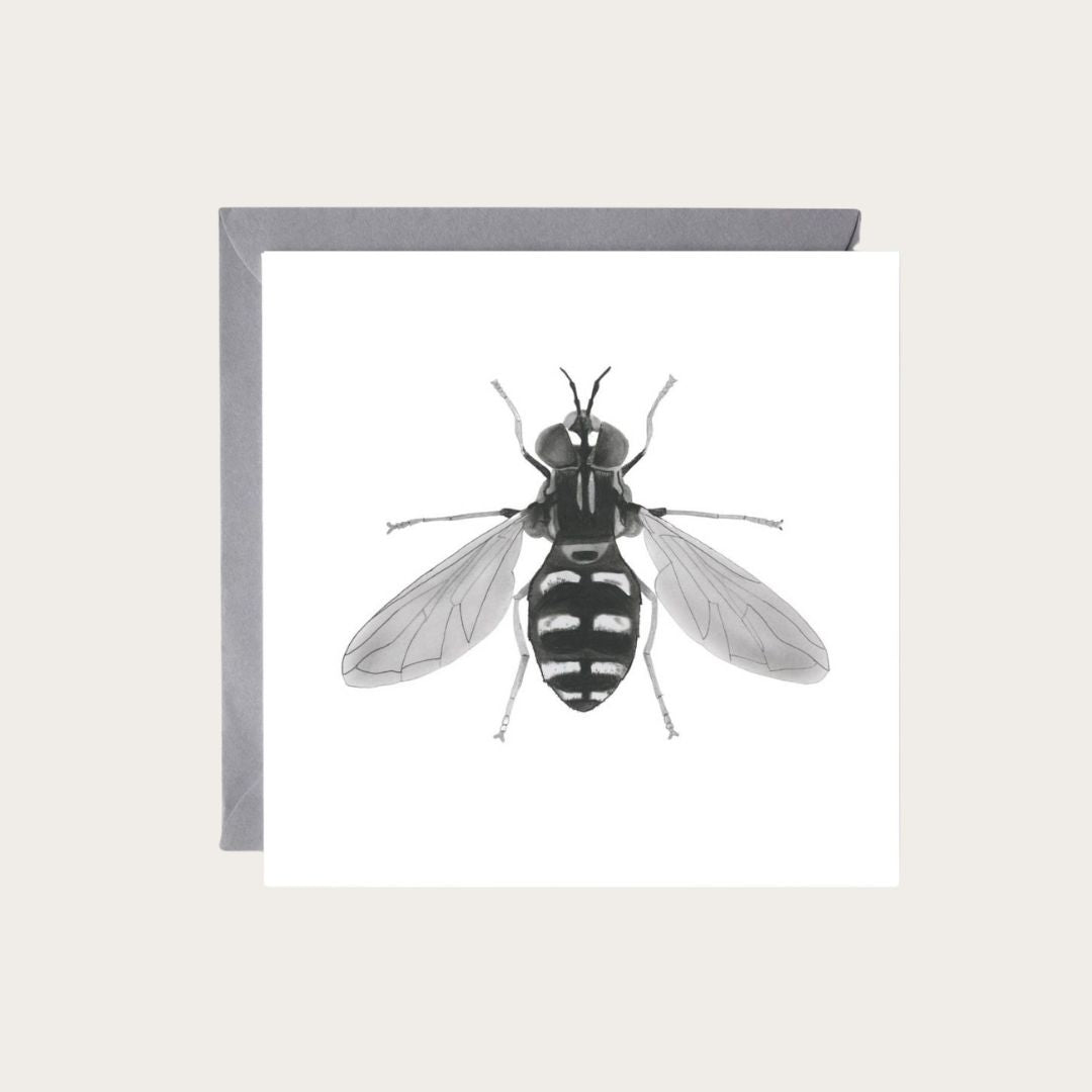 An exquisite greeting card showcasing a detailed illustration of a hover fly, making it a unique choice for celebrating special occasions with wildlife aficionados. Find it at Libra Fine Arts. (librafinearts.co.uk)