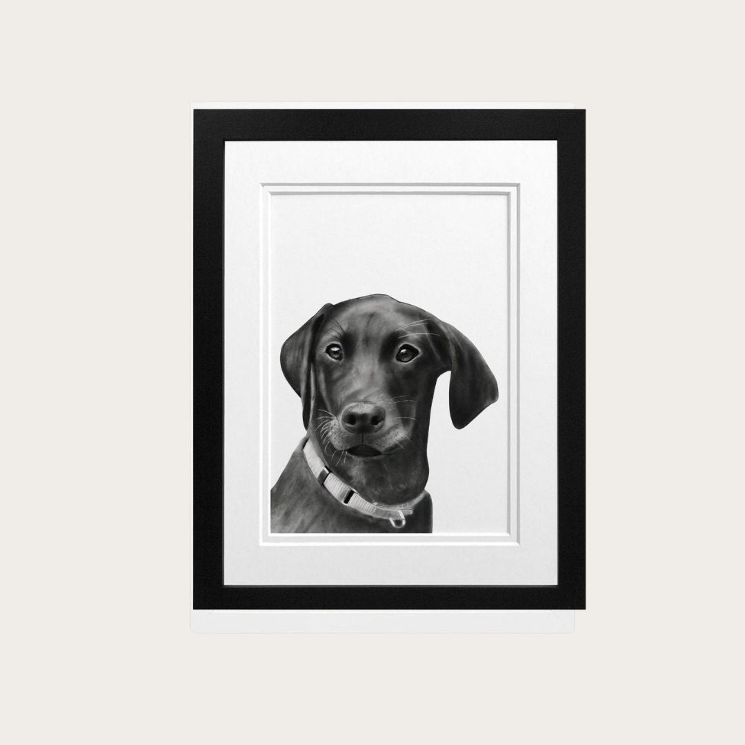 This Labrador dog fine art print, hand-drawn by Libra Fine Arts, is framed in sleek black, adding a sophisticated touch to any room. A perfect piece for dog lovers and art enthusiasts.