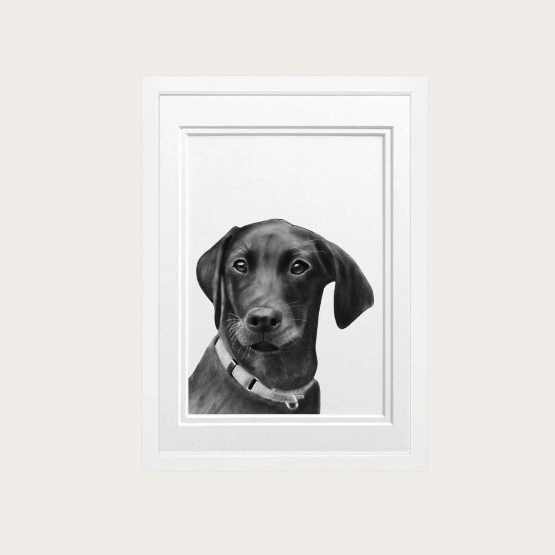 This Labrador dog fine art print, hand-drawn by Libra Fine Arts, is elegantly framed in white, making it a stylish addition to any home. A perfect piece for dog lovers and art collectors