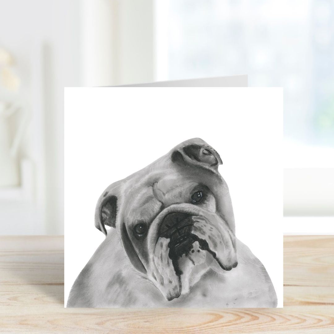 A Hand Drawn Bulldog Greeting Card From Libra Fine Arts