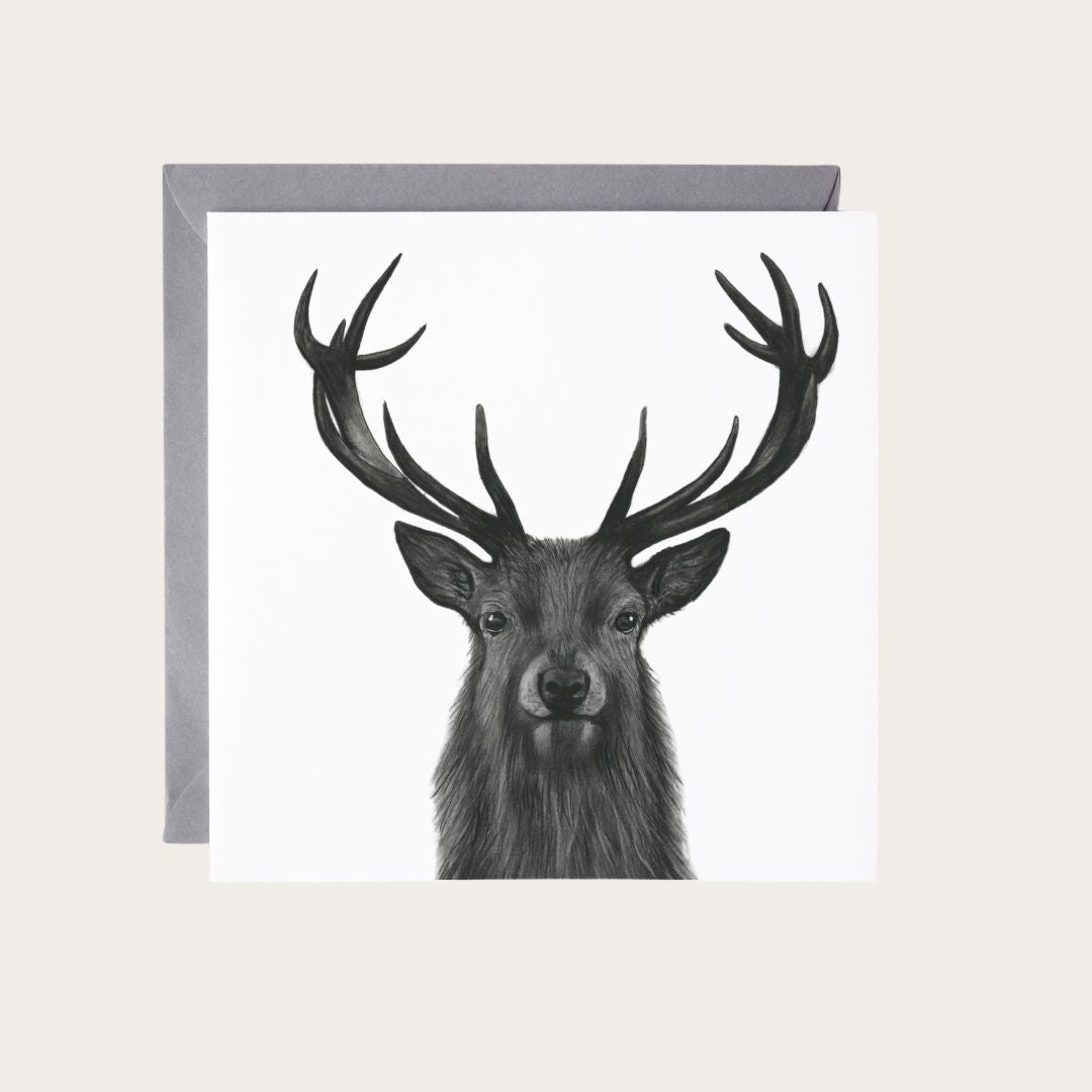 Beautiful illustration of a stag on a greeting card, perfect for nature and wildlife enthusiasts