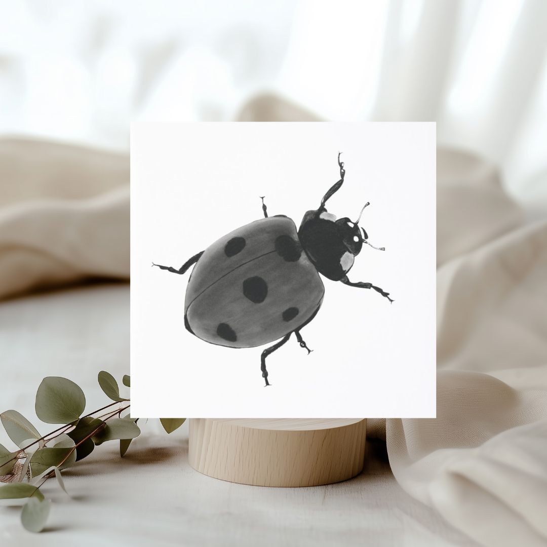 A beautifully hand-illustrated greeting card featuring the iconic Seven Spot Ladybird (Coccinella septempunctata), perfect for sending thoughtful messages to nature enthusiasts and insect admirers. Available at Libra Fine Arts. (librafinearts.co.uk)