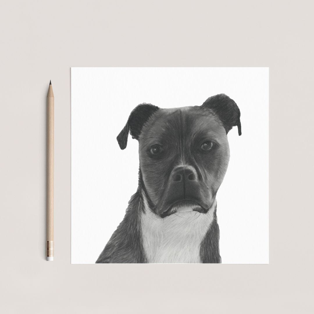 A greeting card featuring a detailed illustration of a Staffy Cross dog, displayed with a pencil resting beside it. The card showcases the dog’s unique features, offering a heartfelt design for dog lovers or any special occasion.