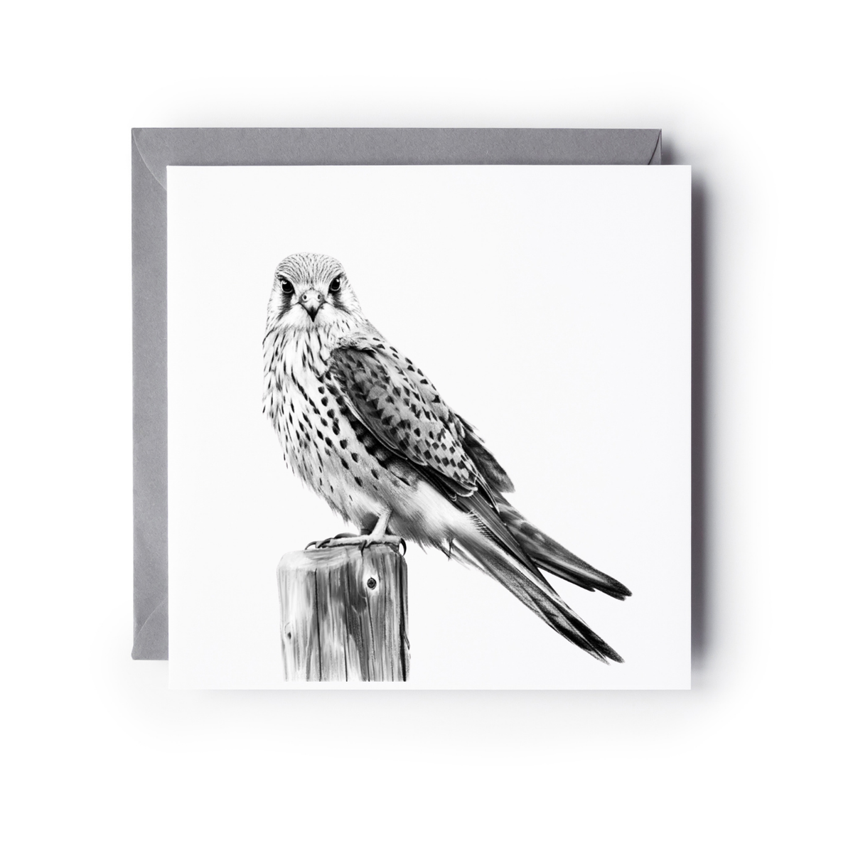 Kestrel Greeting Card | Hand-Drawn British Bird of Prey Illustration
