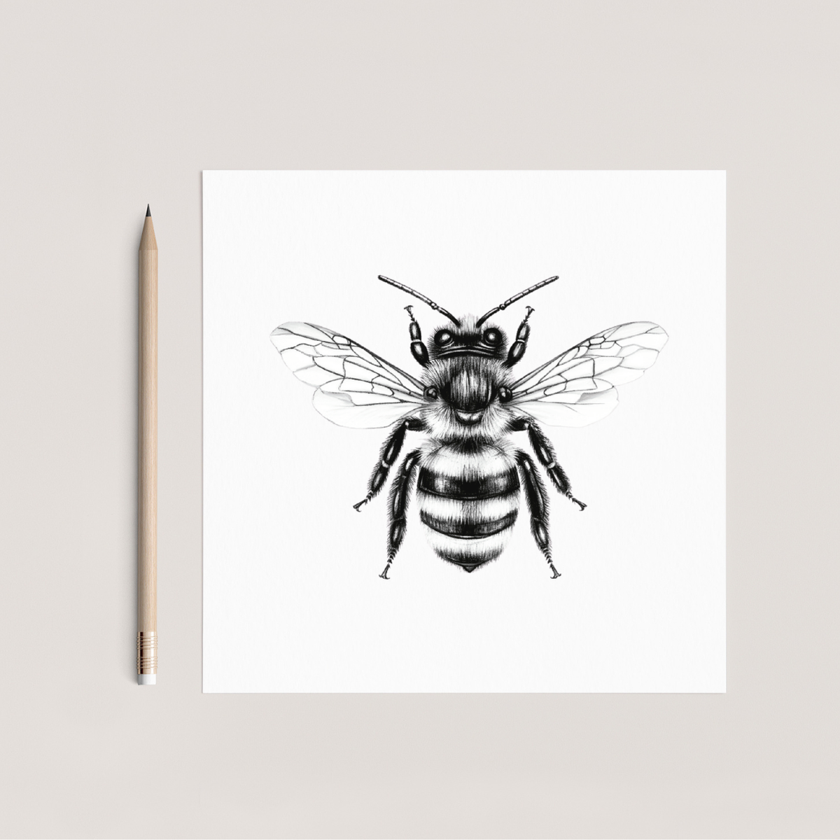 Honeybee Greeting Card