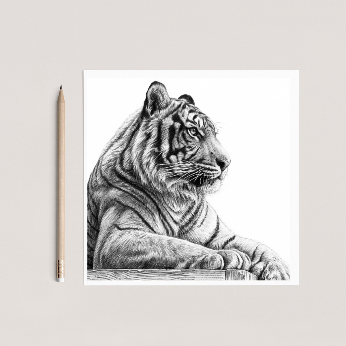 Tiger Hand Drawn Greeting Card