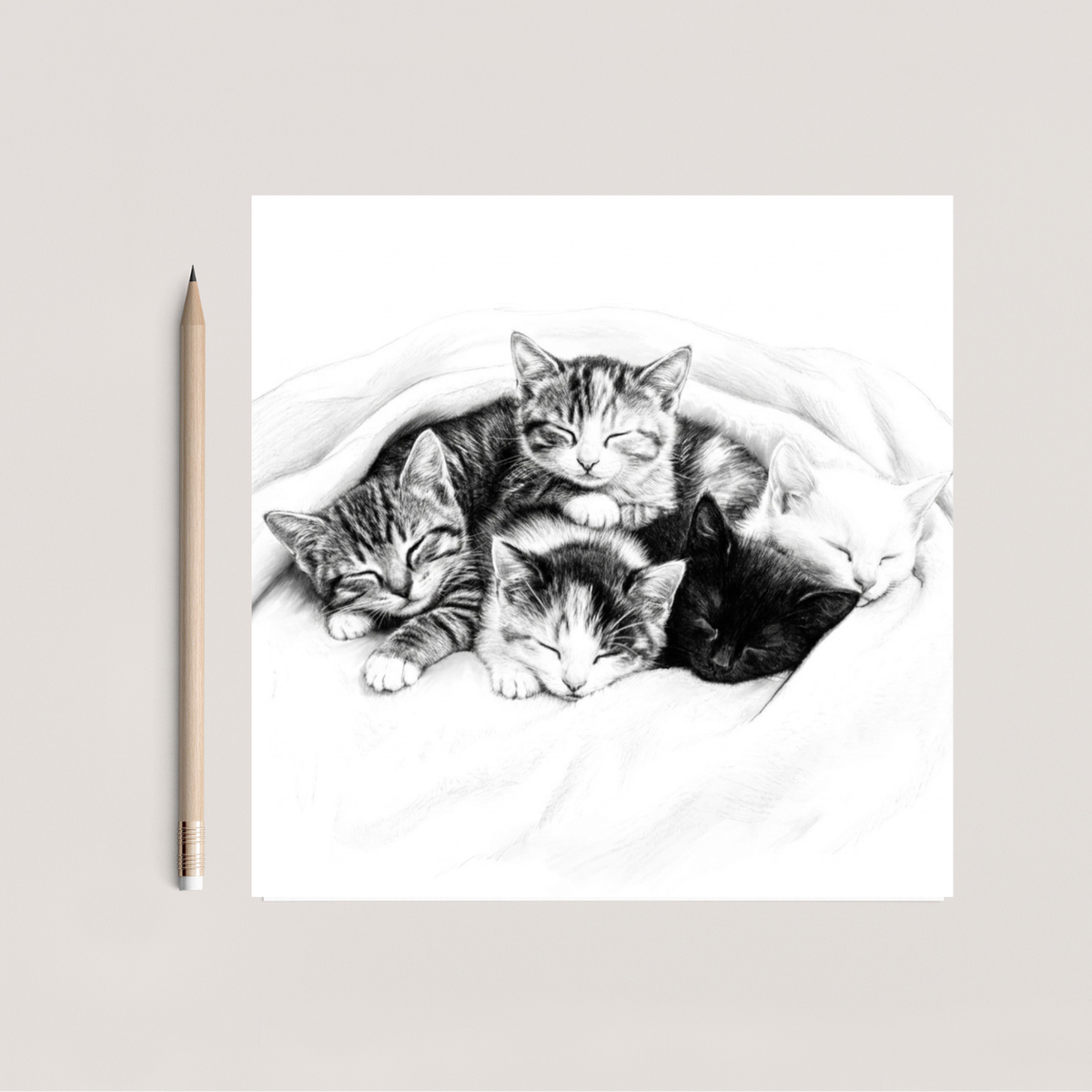 Sleeping Cats Hand Drawn Greeting Card