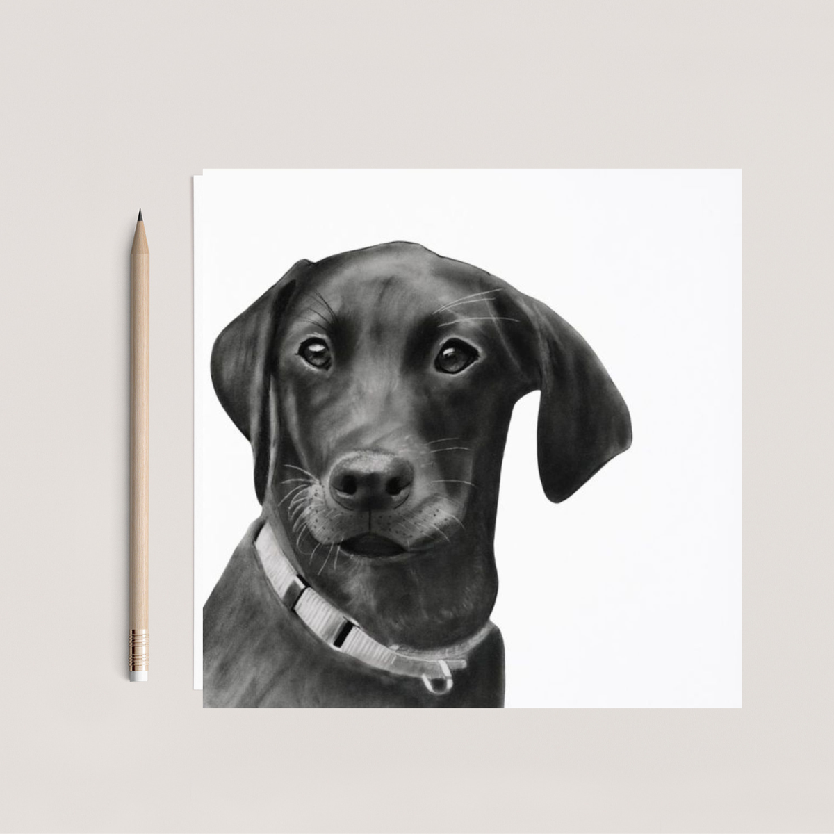 Avior the Labrador Hand Drawn Greeting Card