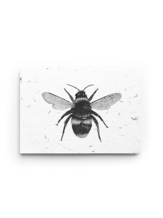 Cephei the Bee Seed Card