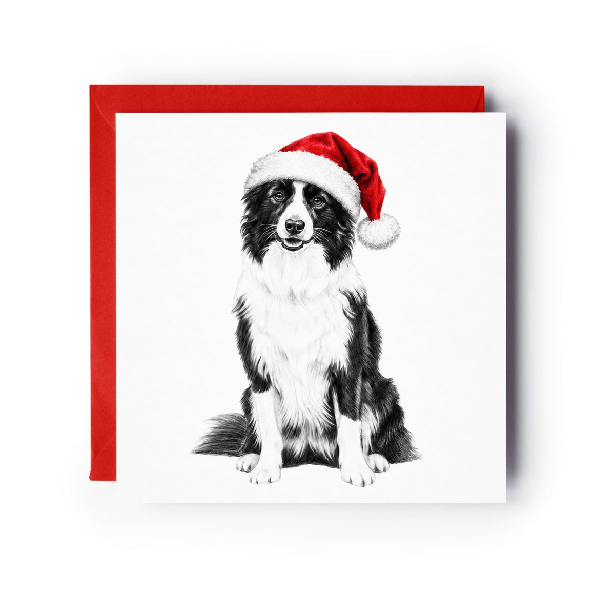 A seated border collie wearing a red Santa hat on a Christmas card with a red envelope