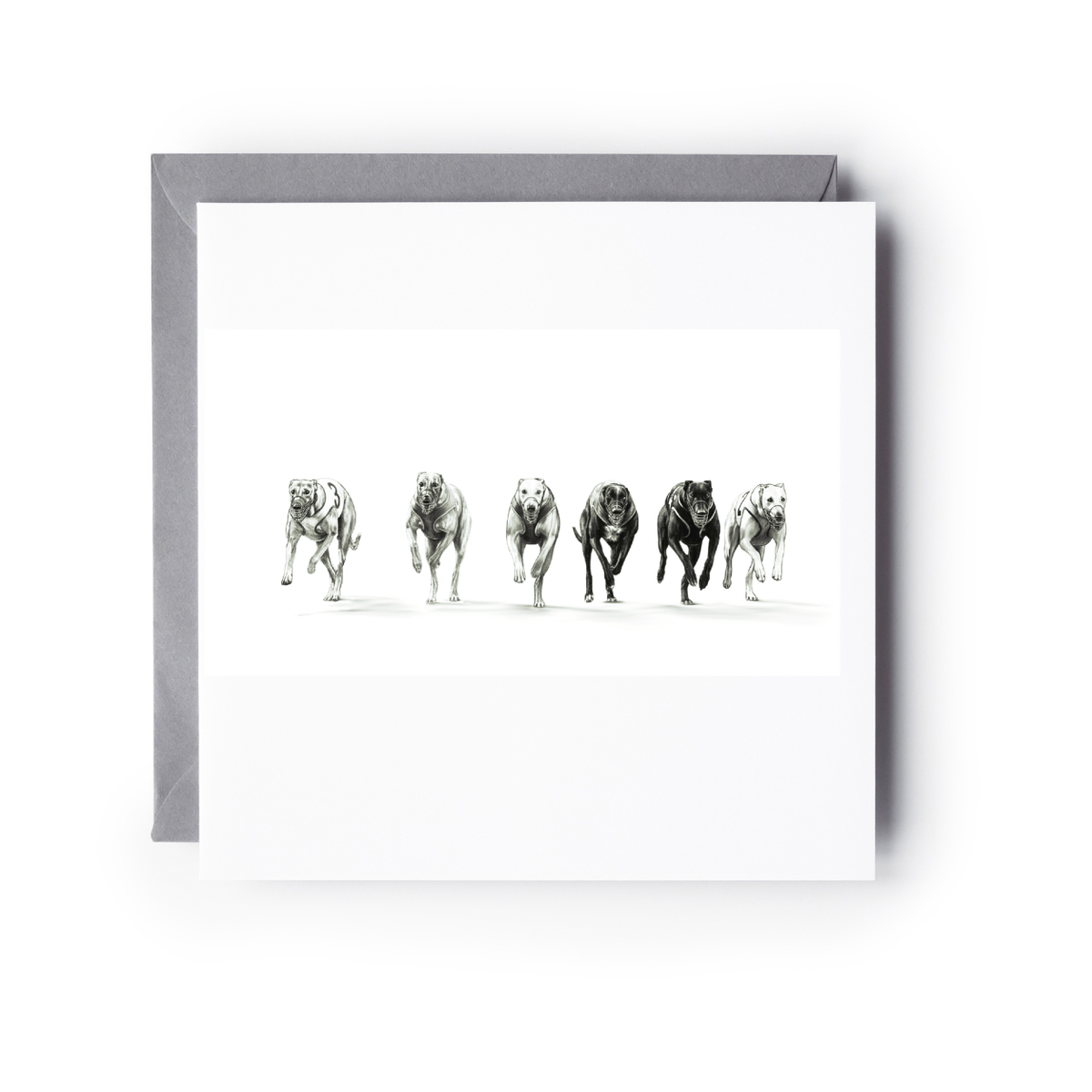 Greyhound racing greeting card featuring six hand-drawn greyhounds