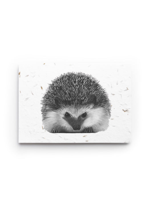 Persei the Hedgehog Seed Card