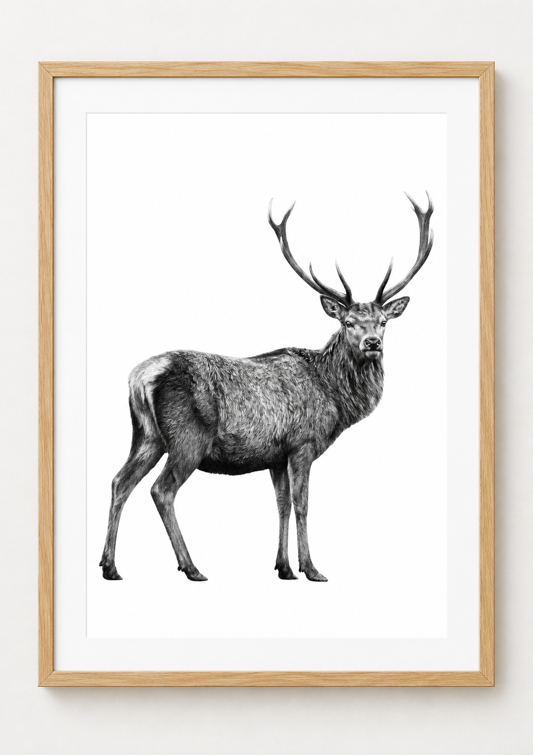 Highland Stag rectangular A4 oak print