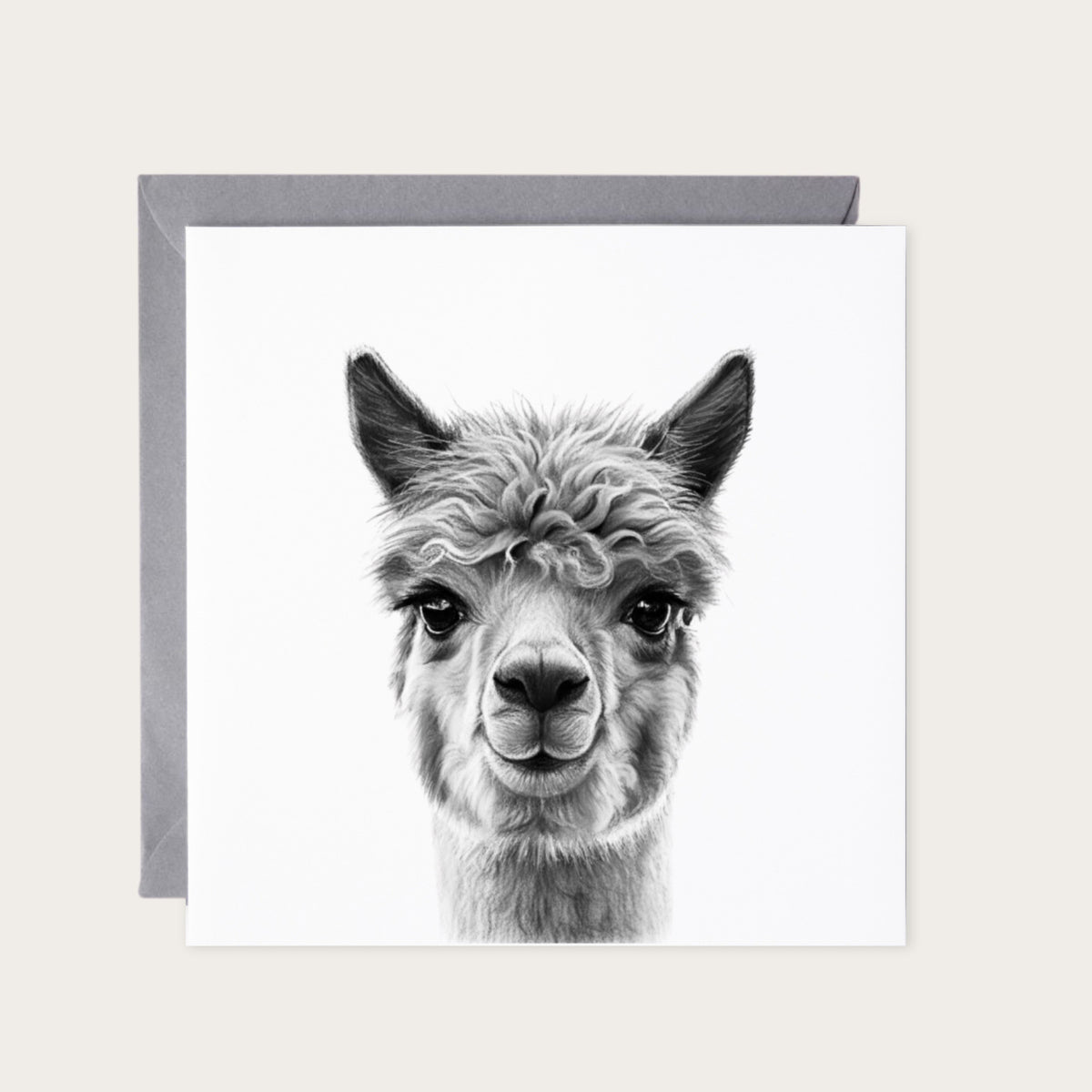 Zeta the Llama Fun Greeting Card — card with grey envelope