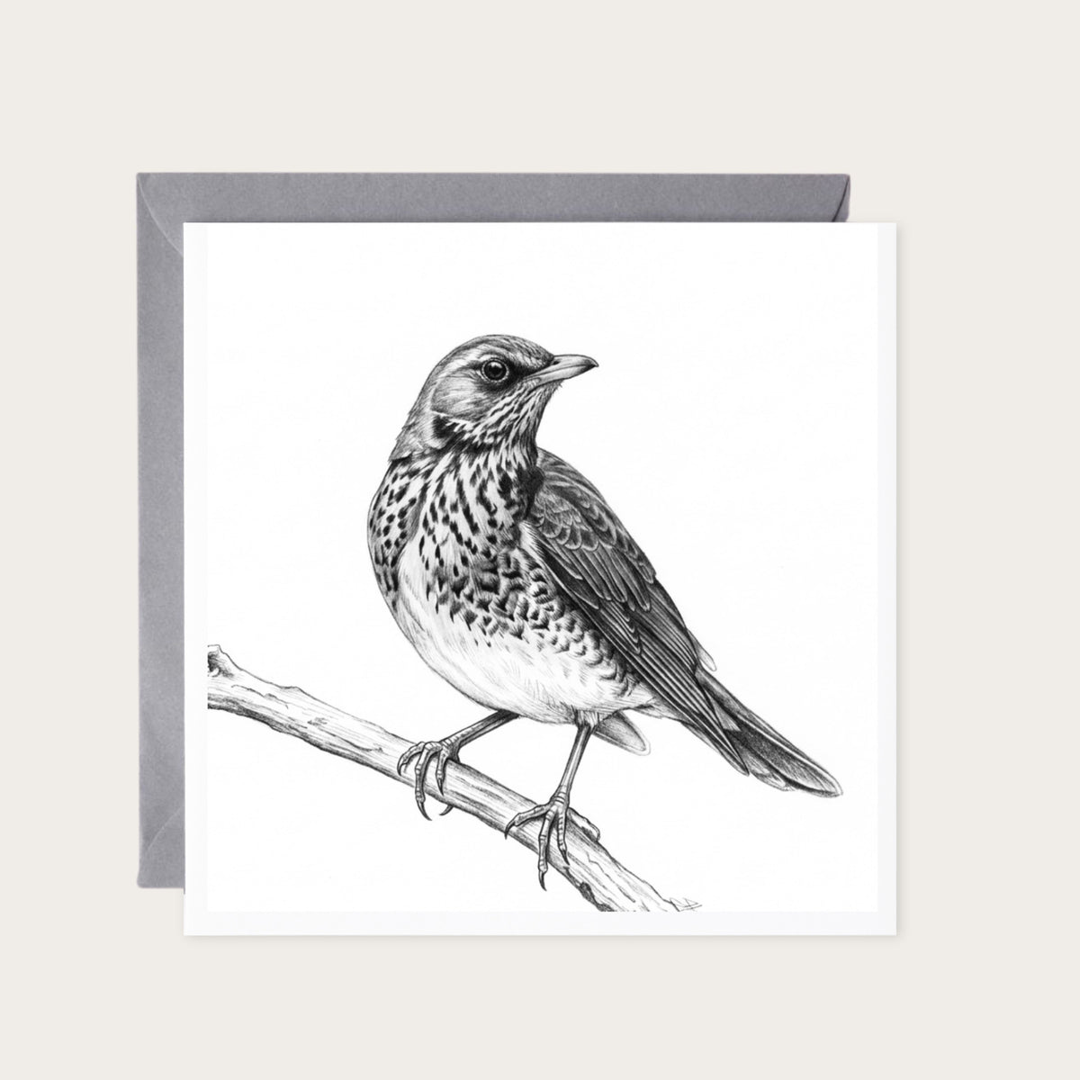 Thrush Hand-Drawn Greeting Card — card with grey envelope