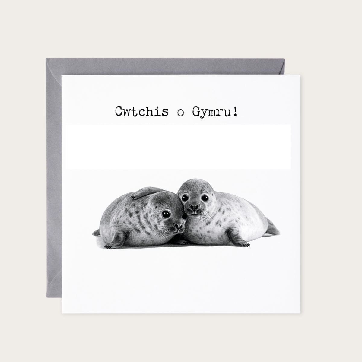 Cwtch o Gymru – Cute Seals Greeting Card — card with grey envelope