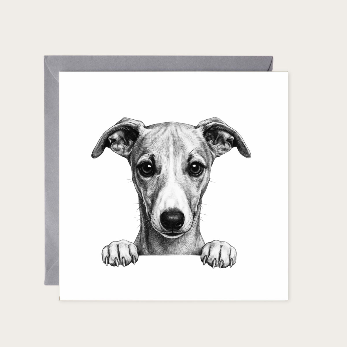 Peeking Whippet – Hand-Drawn Greeting Card | Cute & Playful Dog Illustration — card with grey envelope
