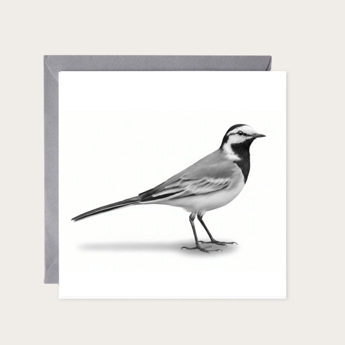 Wagtail Bird Greeting Card | Hand-Drawn British Wildlife Illustration — card with grey envelope