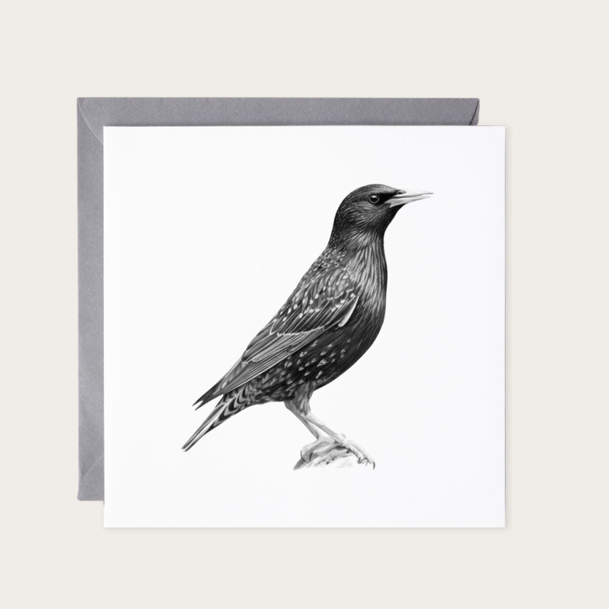 Starling Bird Greeting Card | Hand-Drawn British Wildlife Illustration — card with grey envelope