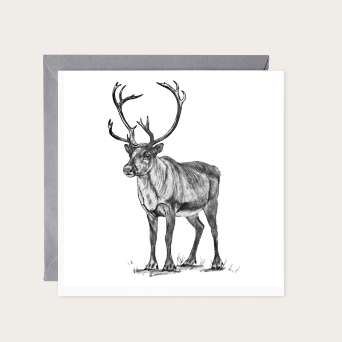 Cygnus the Reindeer Hand Drawn Greeting Card — card with grey envelope