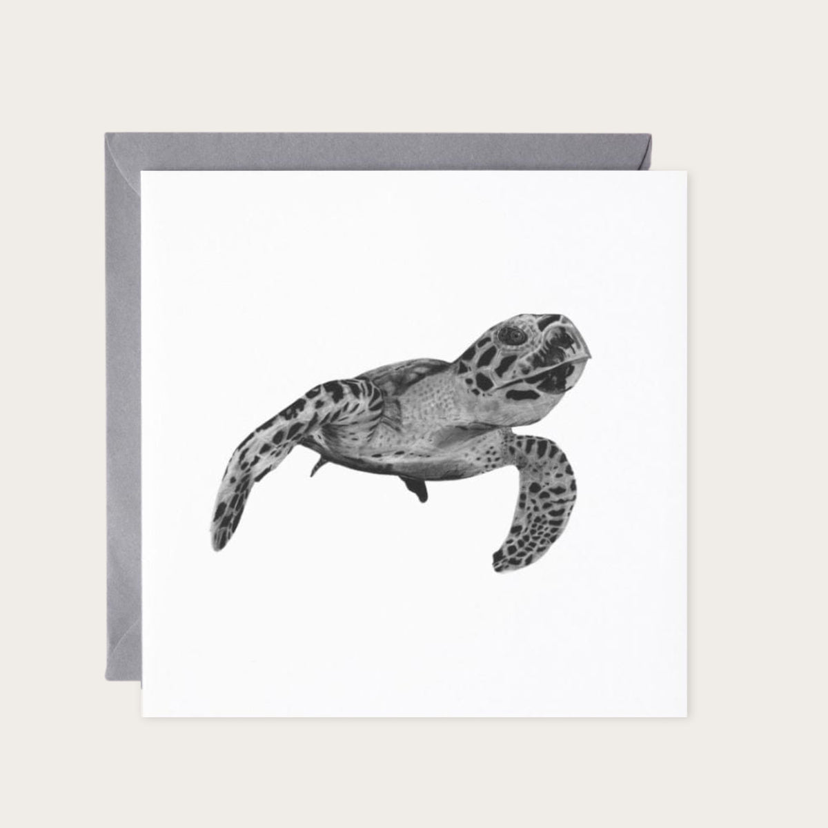 Heze the Turtle Hand Drawn Greeting Card — card with grey envelope