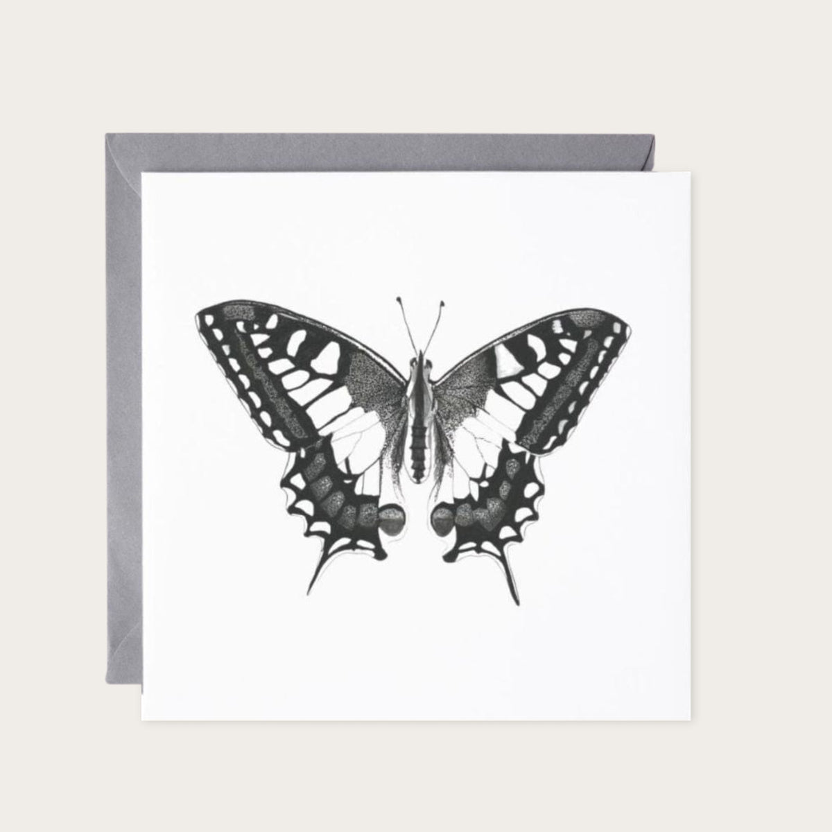 Old World Swallowtail Hand Drawn Greeting Card — card with grey envelope