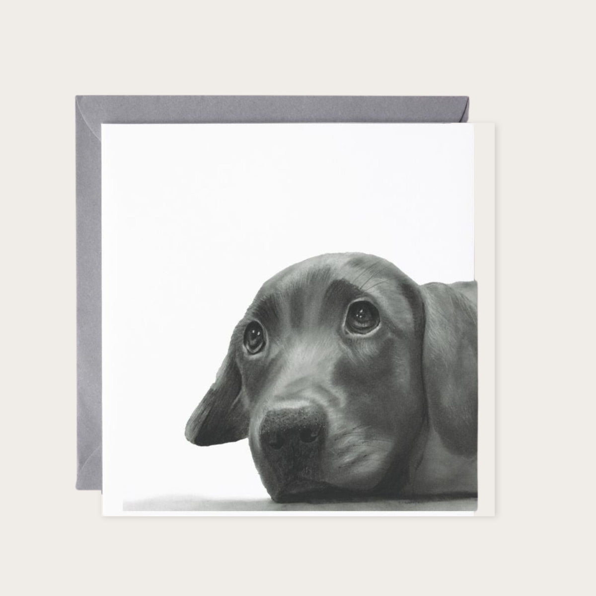 Maru the Labrador Puppy Greeting Card — card with grey envelope