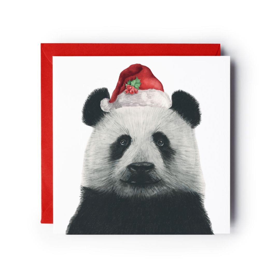 Cepheus the Panda Santa Hat Festive Christmas Card