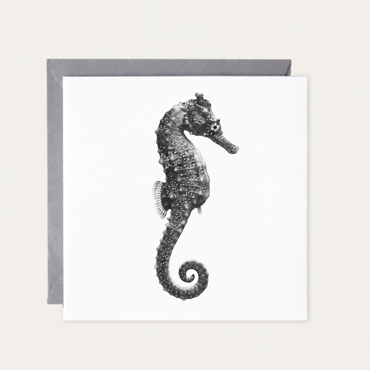 Seahorse greeting card — standard grey envelope mockup