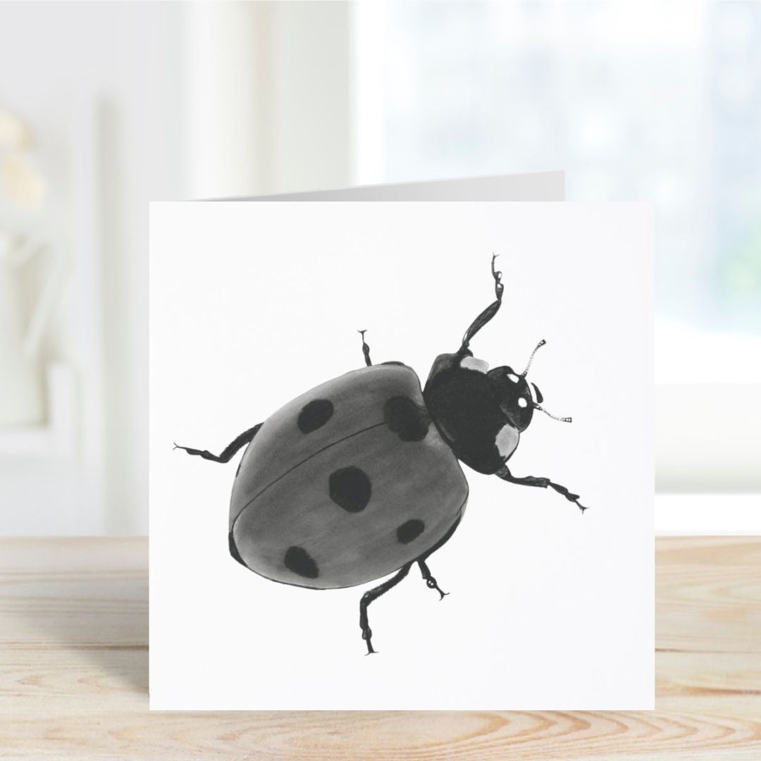 A Hand Drawn Ladybird Greeting Card From Libra Fine Arts standing on a shelf, showcasing a beautifully detailed Seven Spot Ladybird illustration.
