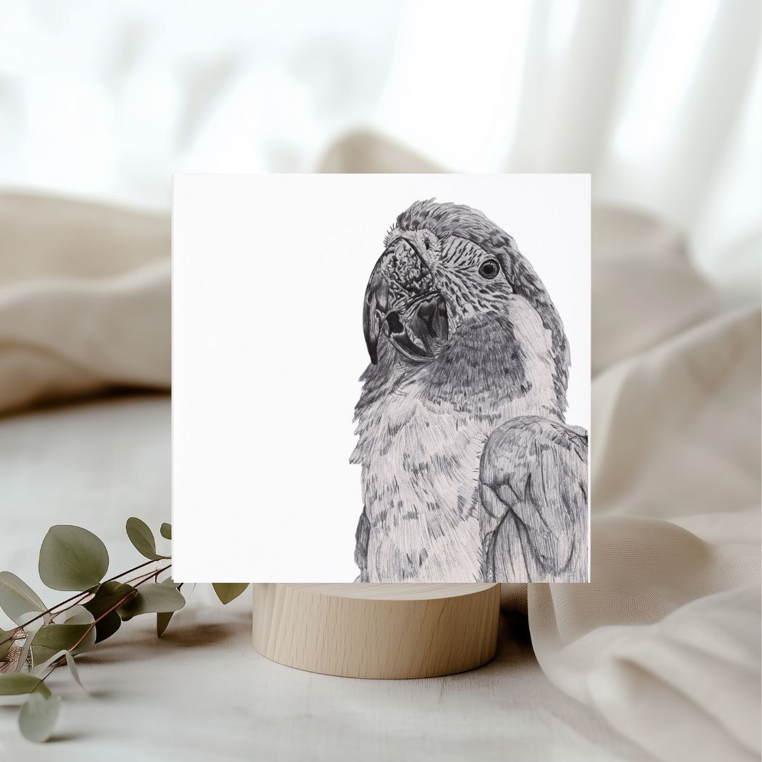The Parrot Lines Greeting Card