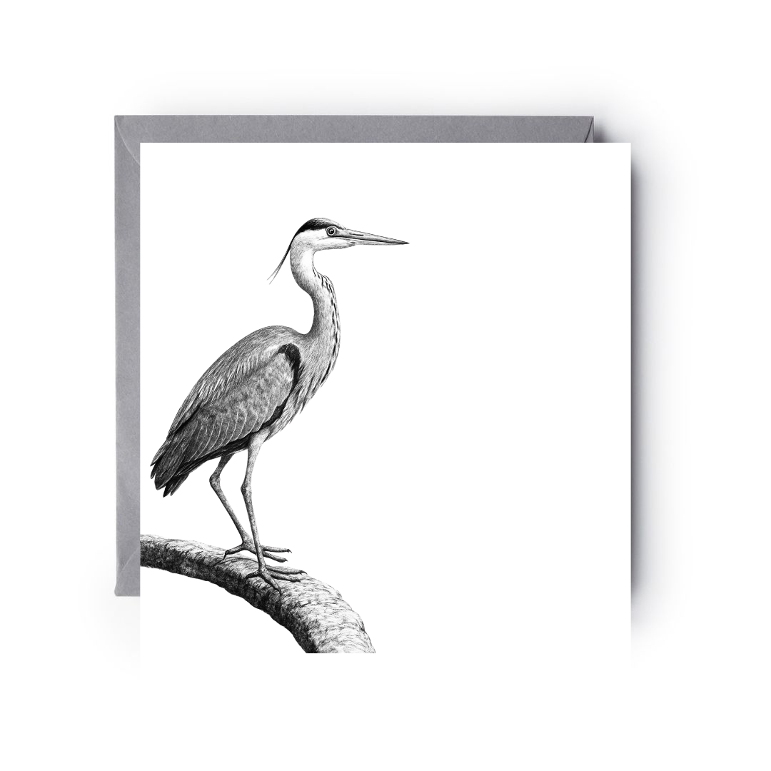 Heron Bird Greeting Card
