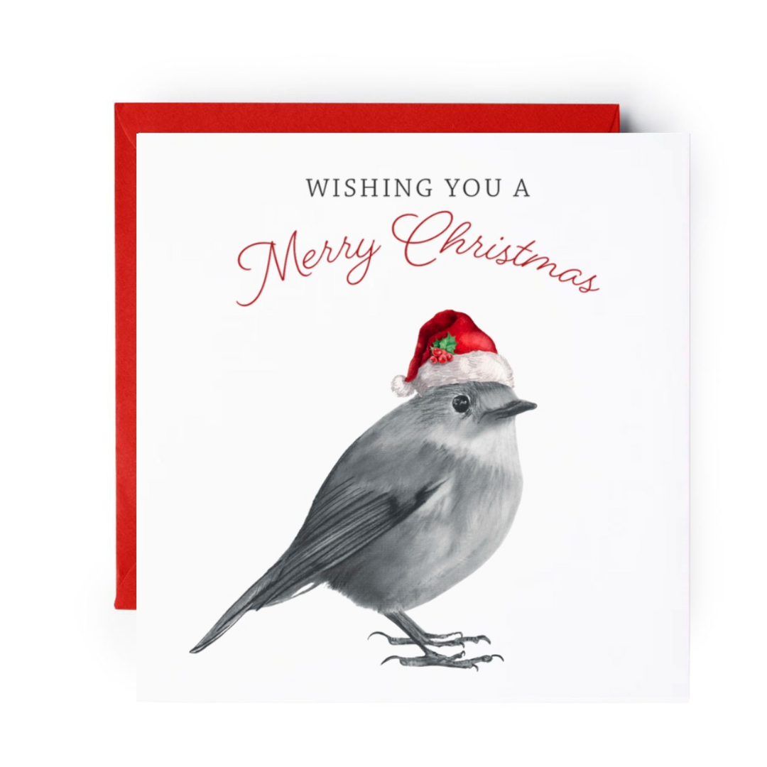 Merry Christmas Robin Red Hat Christmas Card