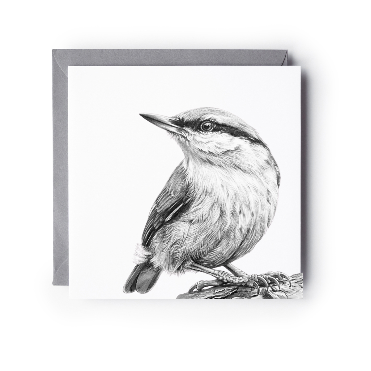 Nuthatch Bird Greeting Card