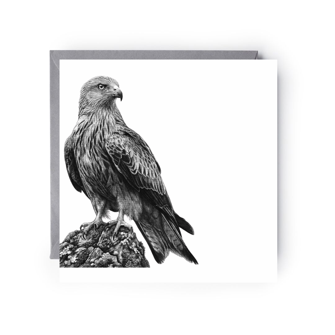 Red Kite – Hand-Drawn Greeting Card | Majestic Bird of Prey Art