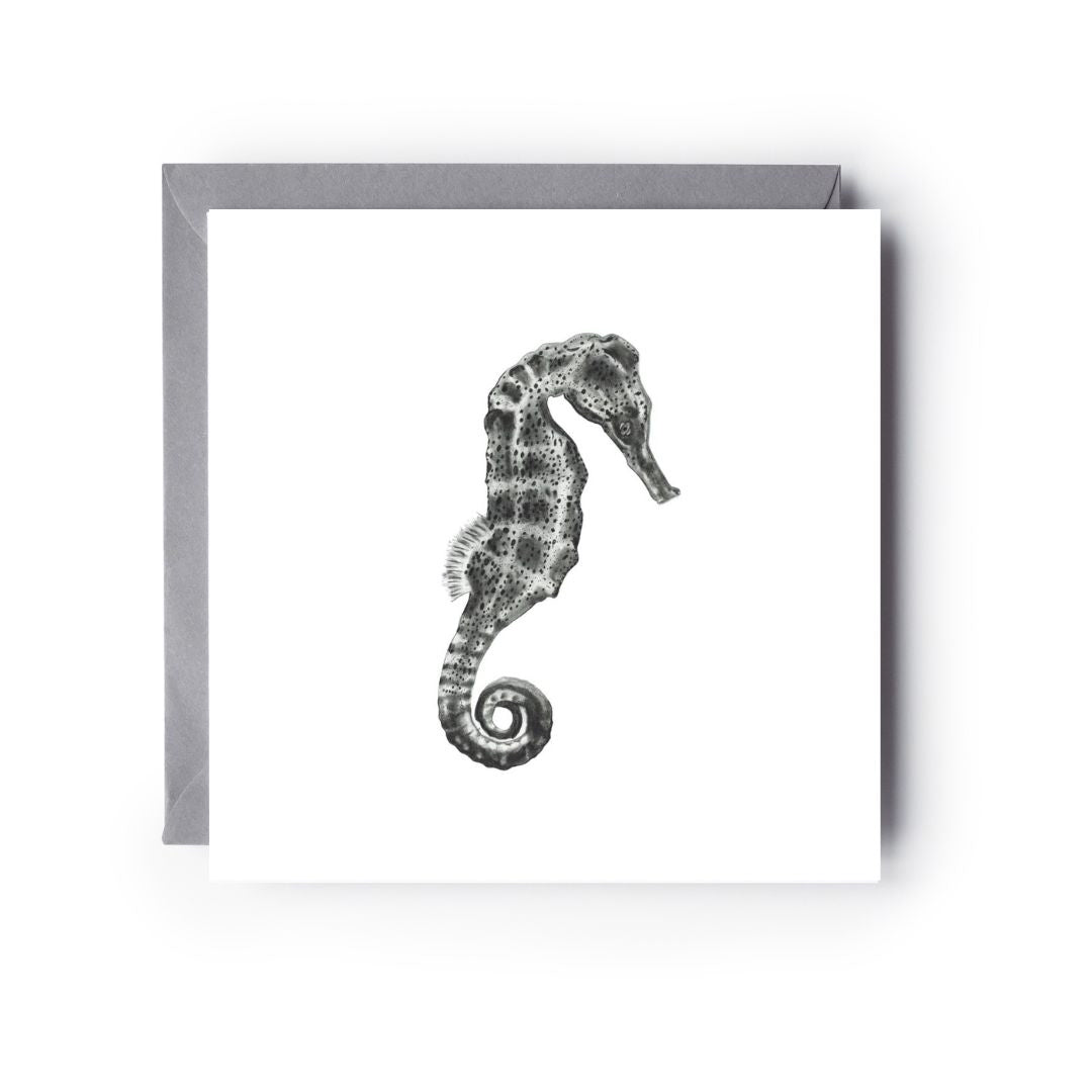  A Hand Drawn Seahorse Greeting Card From Libra Fine Arts