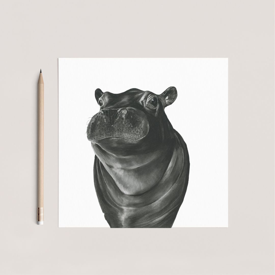 A Hand Drawn  Hippo Greeting Card from Libra Fine Arts