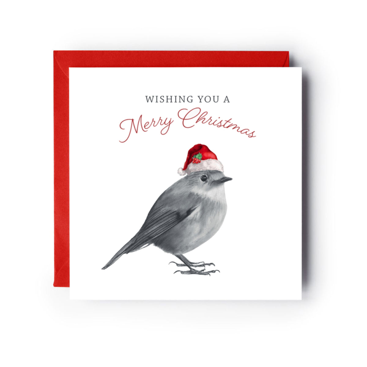 Merry Christmas Robin Red Hat Christmas Card — card with red envelope
