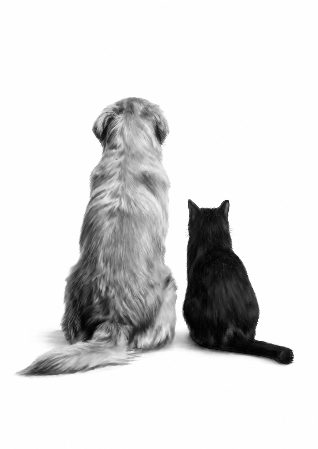 Dog and Cat Friends Fine Art Print — rectangular A4/A3 print artwork